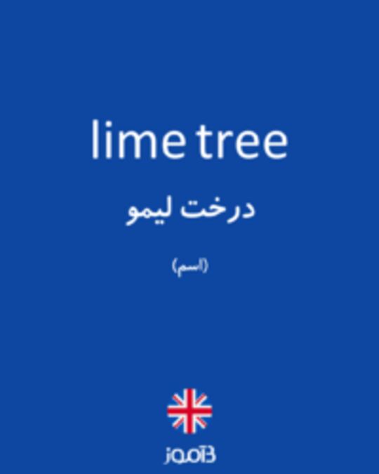  تصویر lime tree - دیکشنری انگلیسی بیاموز