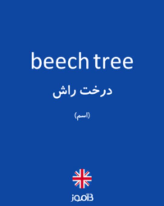  تصویر beech tree - دیکشنری انگلیسی بیاموز