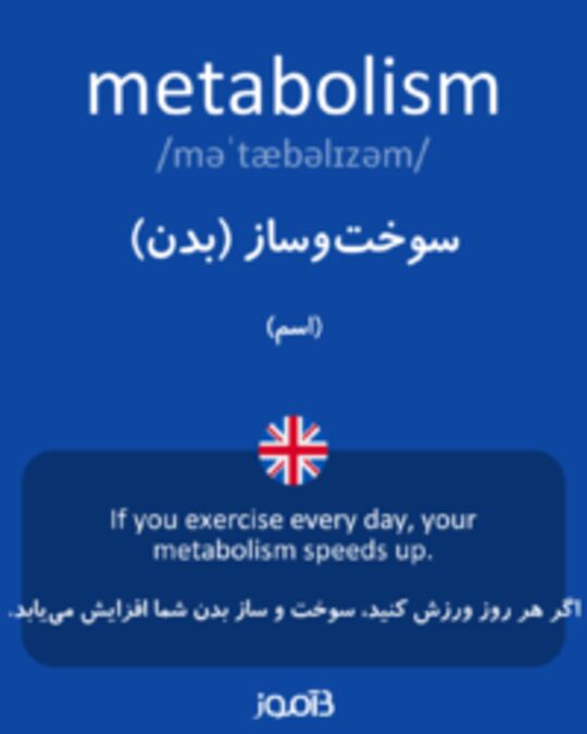  تصویر metabolism - دیکشنری انگلیسی بیاموز