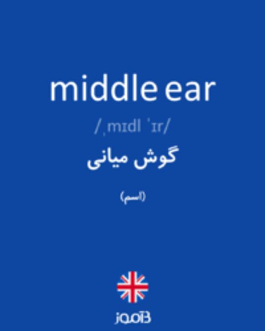  تصویر middle ear - دیکشنری انگلیسی بیاموز