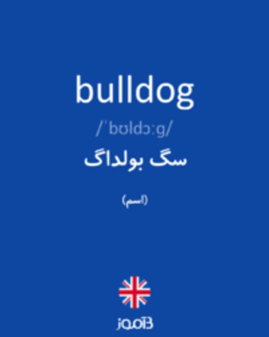  تصویر bulldog - دیکشنری انگلیسی بیاموز