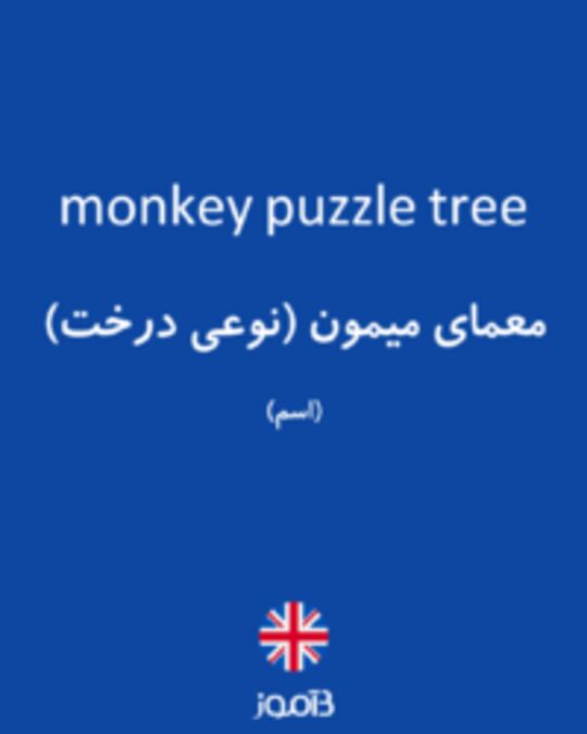  تصویر monkey puzzle tree - دیکشنری انگلیسی بیاموز