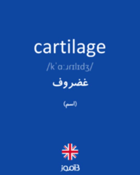  تصویر cartilage - دیکشنری انگلیسی بیاموز