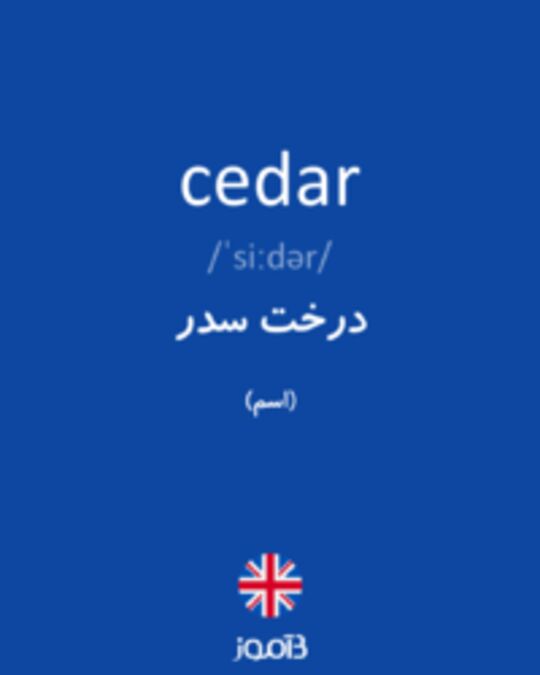  تصویر cedar - دیکشنری انگلیسی بیاموز