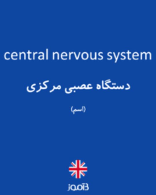  تصویر central nervous system - دیکشنری انگلیسی بیاموز