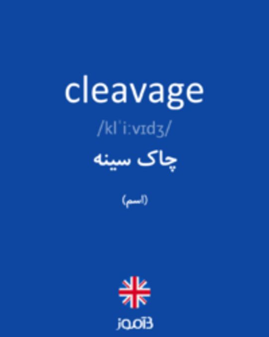 ترجمه کلمه cleavage به فارسی
