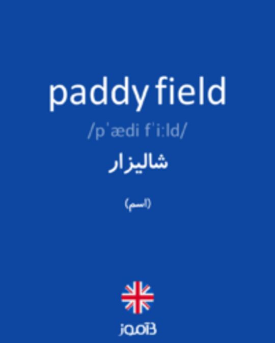  تصویر paddy field - دیکشنری انگلیسی بیاموز
