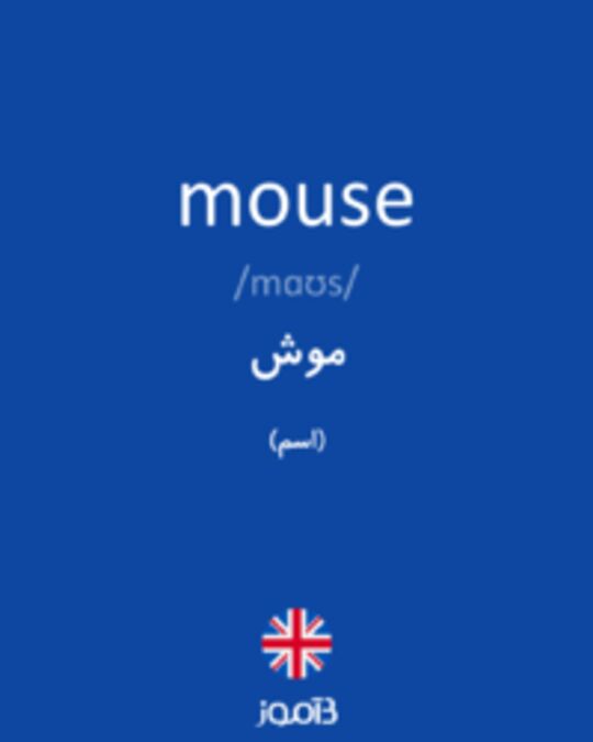 تصویر mouse - دیکشنری انگلیسی بیاموز