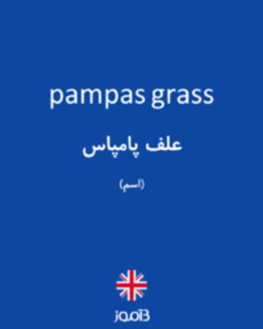  تصویر pampas grass - دیکشنری انگلیسی بیاموز