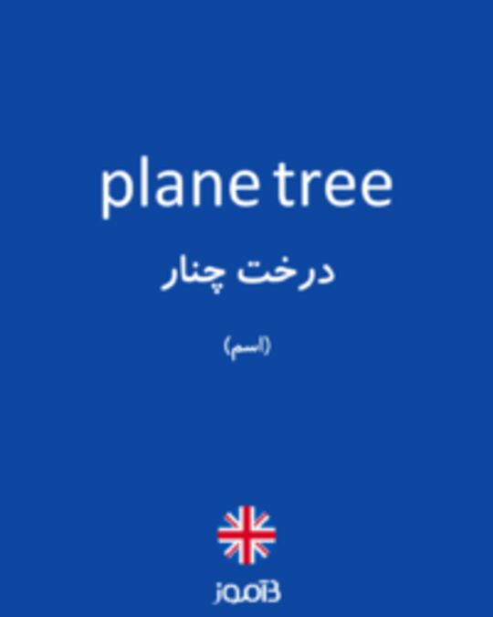 تصویر plane tree - دیکشنری انگلیسی بیاموز