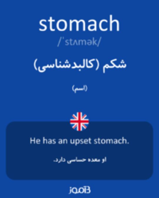  تصویر stomach - دیکشنری انگلیسی بیاموز