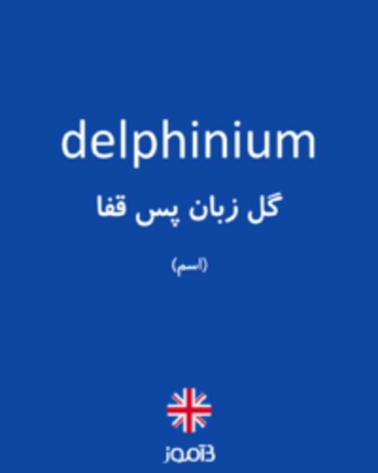  تصویر delphinium - دیکشنری انگلیسی بیاموز