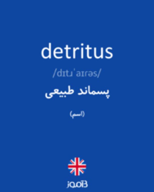  تصویر detritus - دیکشنری انگلیسی بیاموز