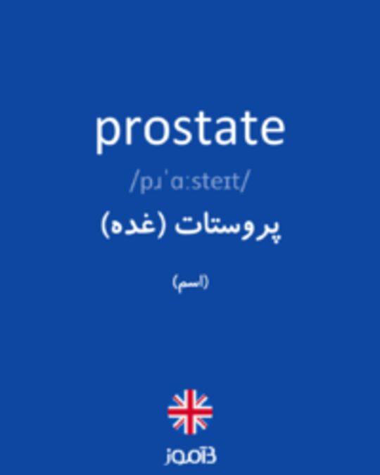  تصویر prostate - دیکشنری انگلیسی بیاموز