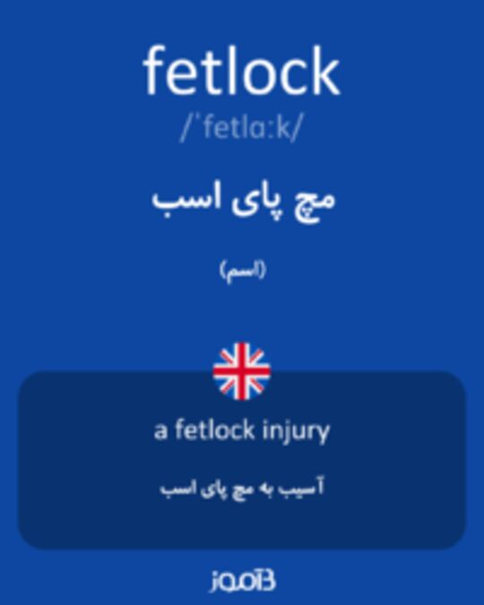  تصویر fetlock - دیکشنری انگلیسی بیاموز