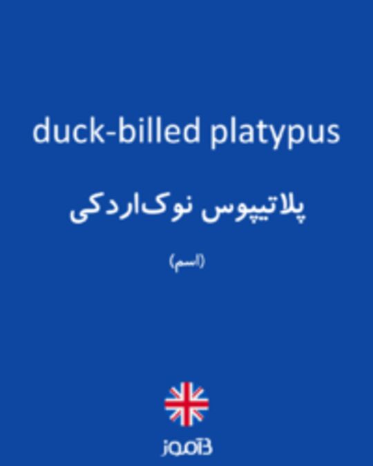  تصویر duck-billed platypus - دیکشنری انگلیسی بیاموز