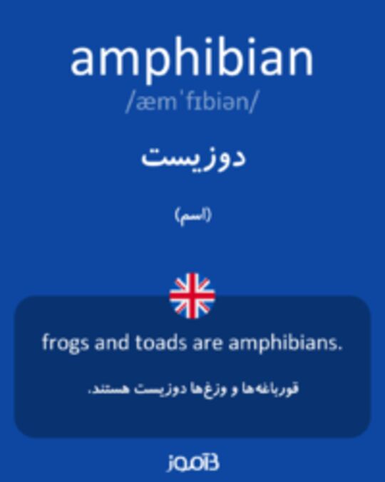  تصویر amphibian - دیکشنری انگلیسی بیاموز