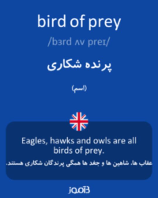  تصویر bird of prey - دیکشنری انگلیسی بیاموز