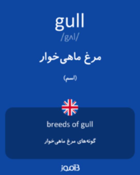  تصویر gull - دیکشنری انگلیسی بیاموز