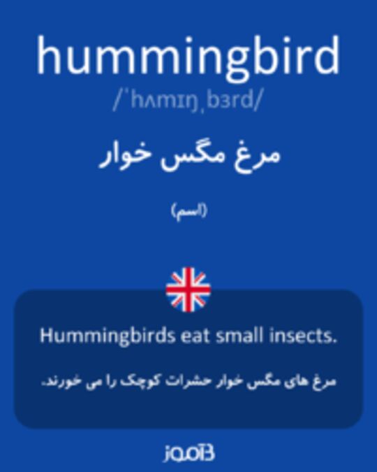  تصویر hummingbird - دیکشنری انگلیسی بیاموز