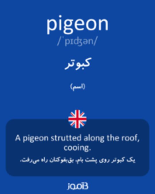  تصویر pigeon - دیکشنری انگلیسی بیاموز