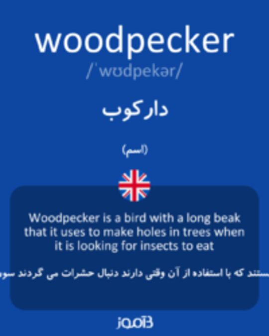  تصویر woodpecker - دیکشنری انگلیسی بیاموز