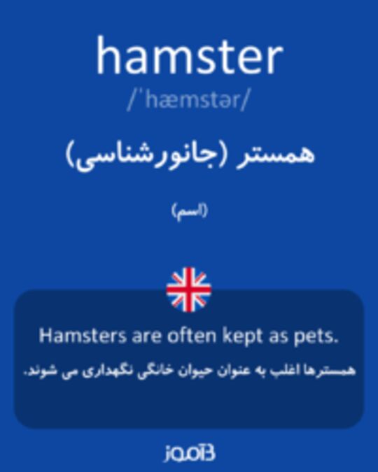  تصویر hamster - دیکشنری انگلیسی بیاموز