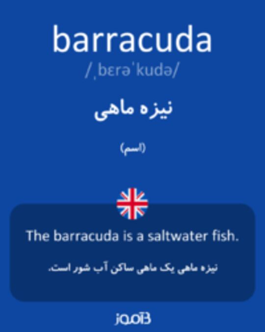  تصویر barracuda - دیکشنری انگلیسی بیاموز