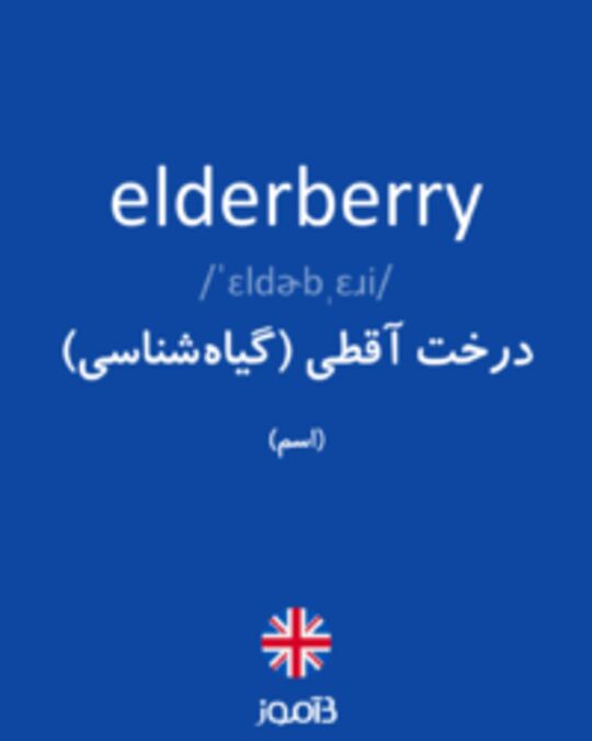  تصویر elderberry - دیکشنری انگلیسی بیاموز