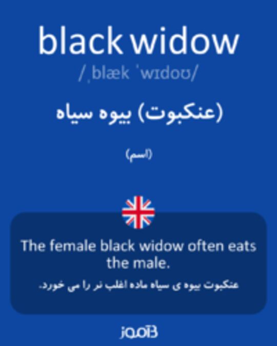  تصویر black widow - دیکشنری انگلیسی بیاموز