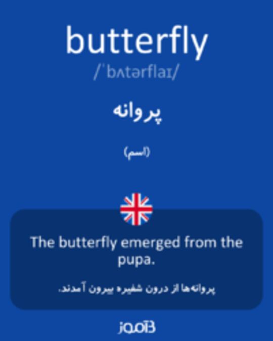  تصویر butterfly - دیکشنری انگلیسی بیاموز