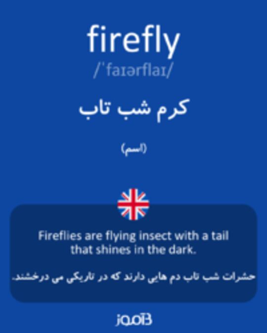  تصویر firefly - دیکشنری انگلیسی بیاموز
