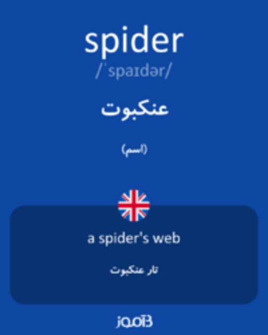  تصویر spider - دیکشنری انگلیسی بیاموز