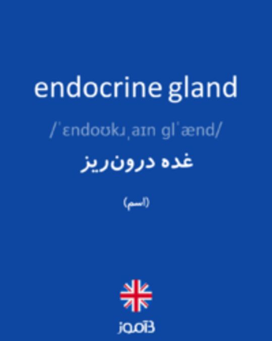  تصویر endocrine gland - دیکشنری انگلیسی بیاموز