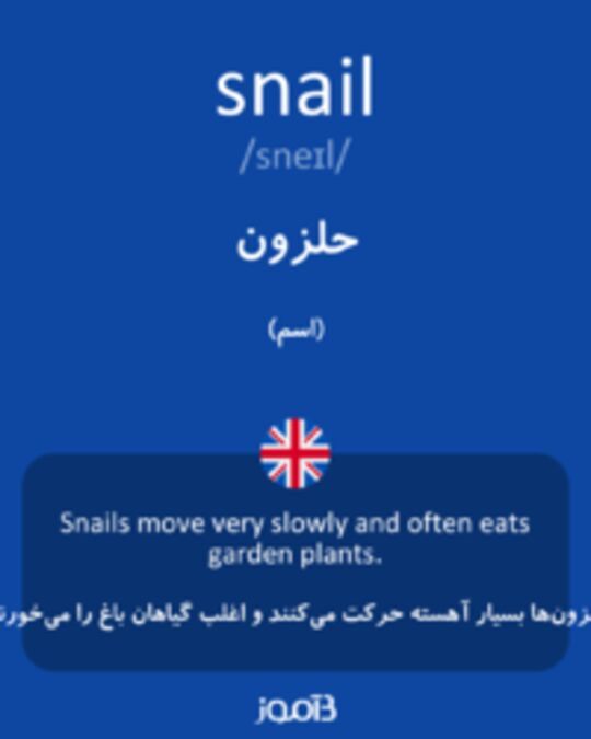  تصویر snail - دیکشنری انگلیسی بیاموز
