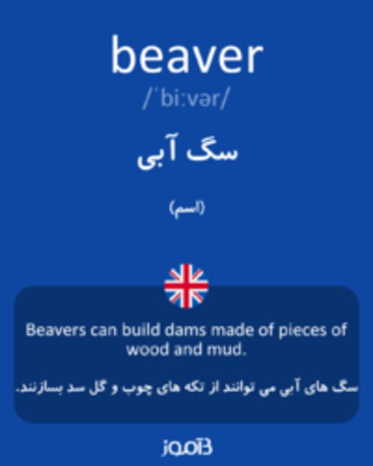  تصویر beaver - دیکشنری انگلیسی بیاموز