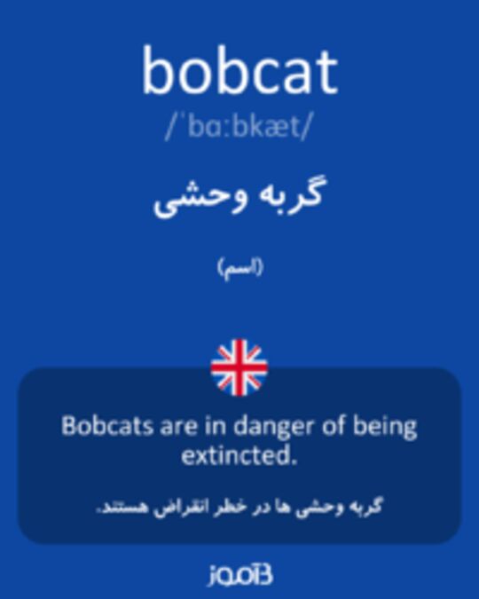  تصویر bobcat - دیکشنری انگلیسی بیاموز