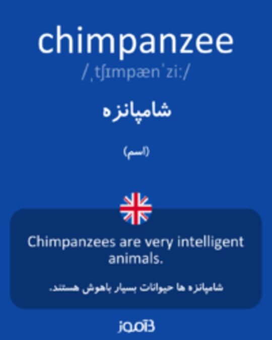  تصویر chimpanzee - دیکشنری انگلیسی بیاموز