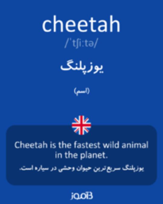  تصویر cheetah - دیکشنری انگلیسی بیاموز