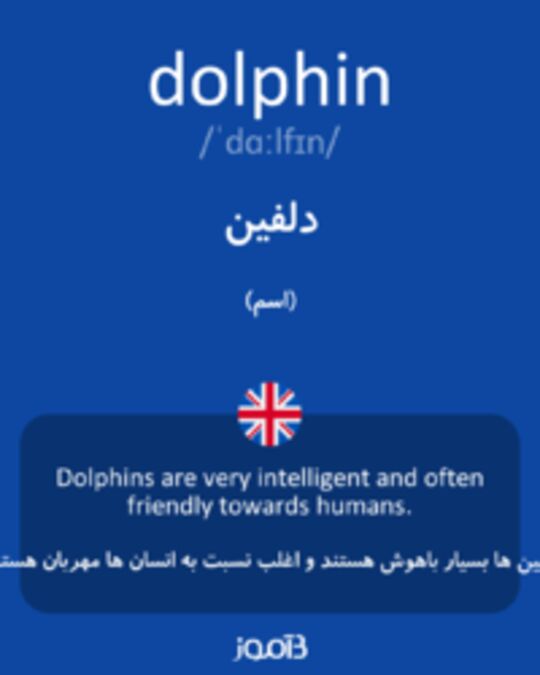 تصویر dolphin - دیکشنری انگلیسی بیاموز