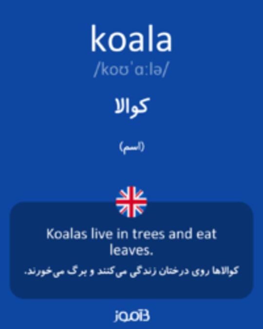  تصویر koala - دیکشنری انگلیسی بیاموز