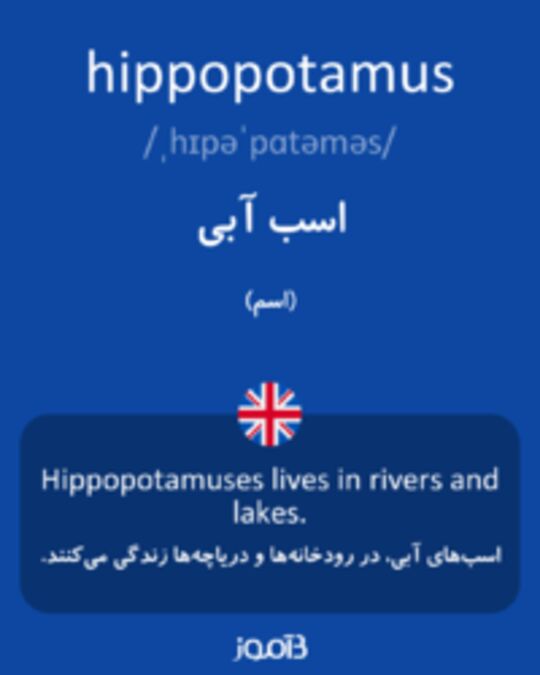  تصویر hippopotamus - دیکشنری انگلیسی بیاموز