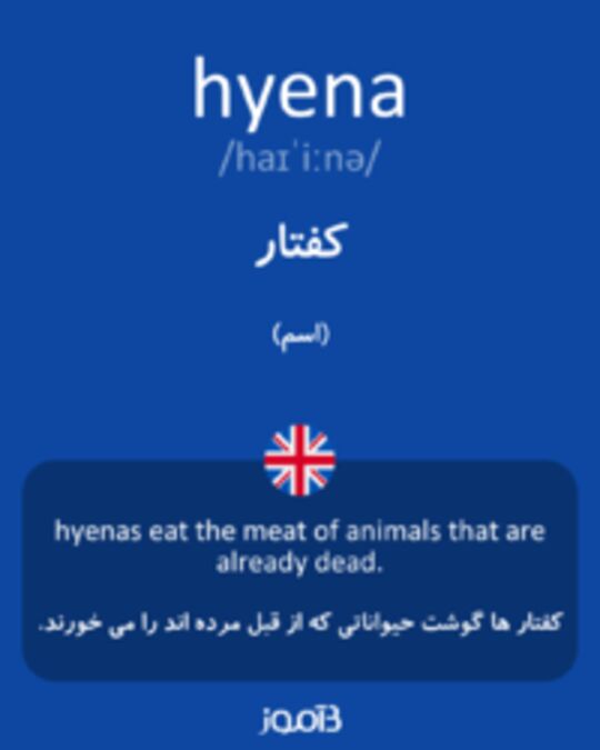  تصویر hyena - دیکشنری انگلیسی بیاموز