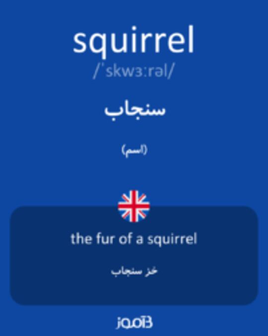  تصویر squirrel - دیکشنری انگلیسی بیاموز