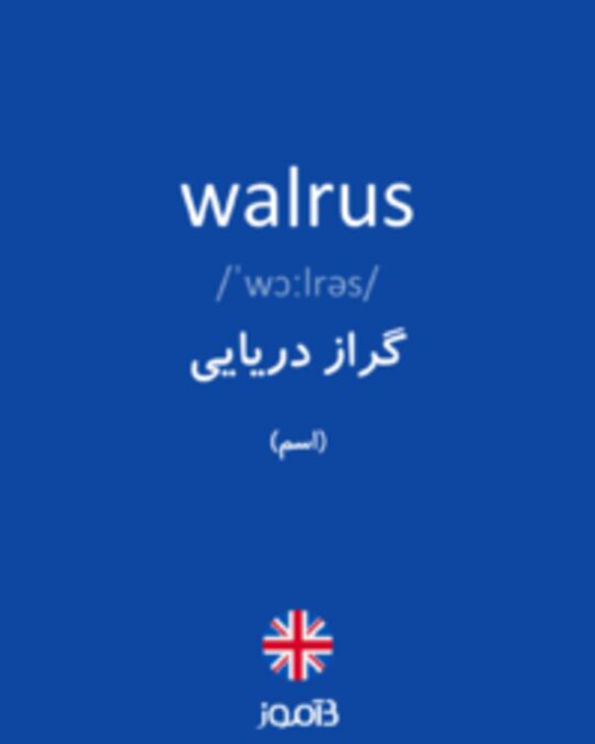  تصویر walrus - دیکشنری انگلیسی بیاموز