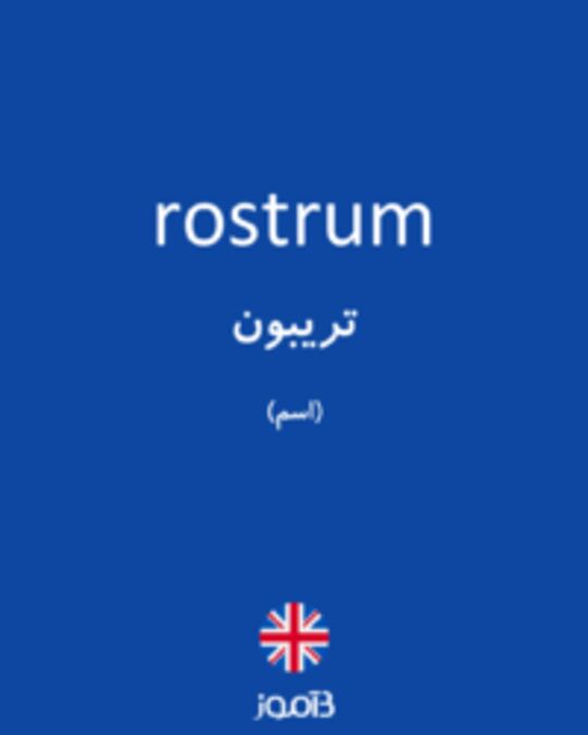  تصویر rostrum - دیکشنری انگلیسی بیاموز