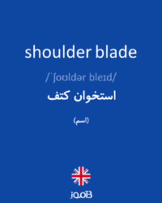  تصویر shoulder blade - دیکشنری انگلیسی بیاموز