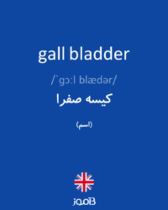  تصویر gall bladder - دیکشنری انگلیسی بیاموز