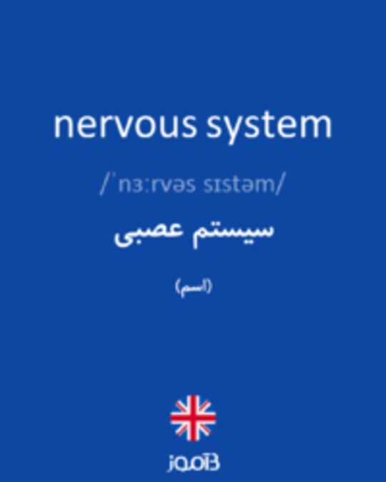  تصویر nervous system - دیکشنری انگلیسی بیاموز