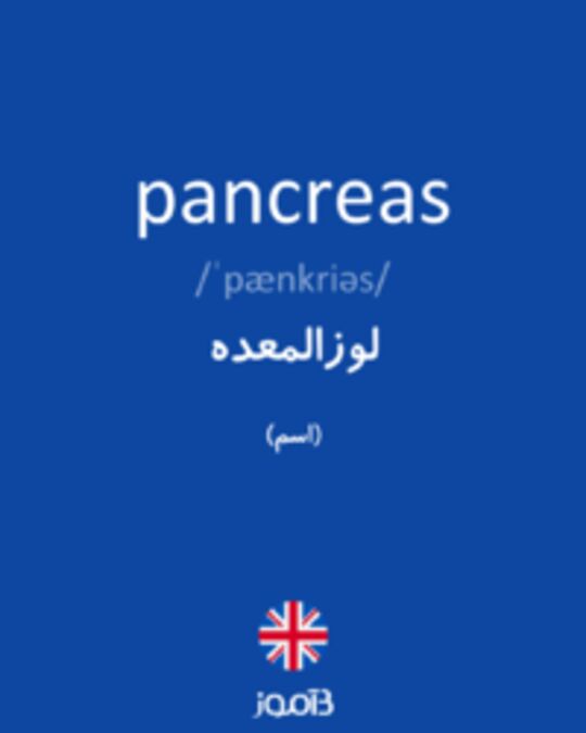  تصویر pancreas - دیکشنری انگلیسی بیاموز